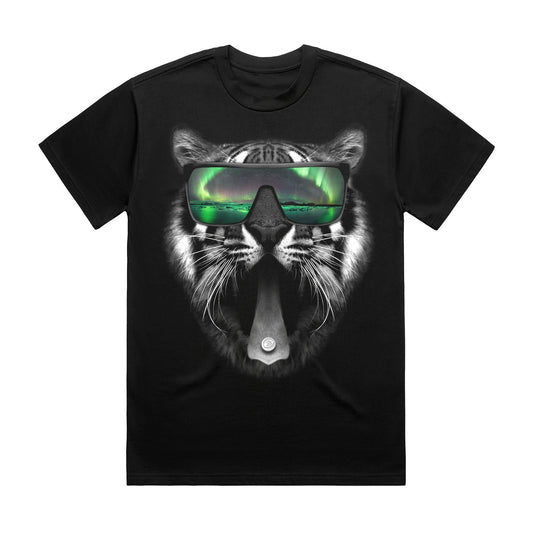 Northern Lights